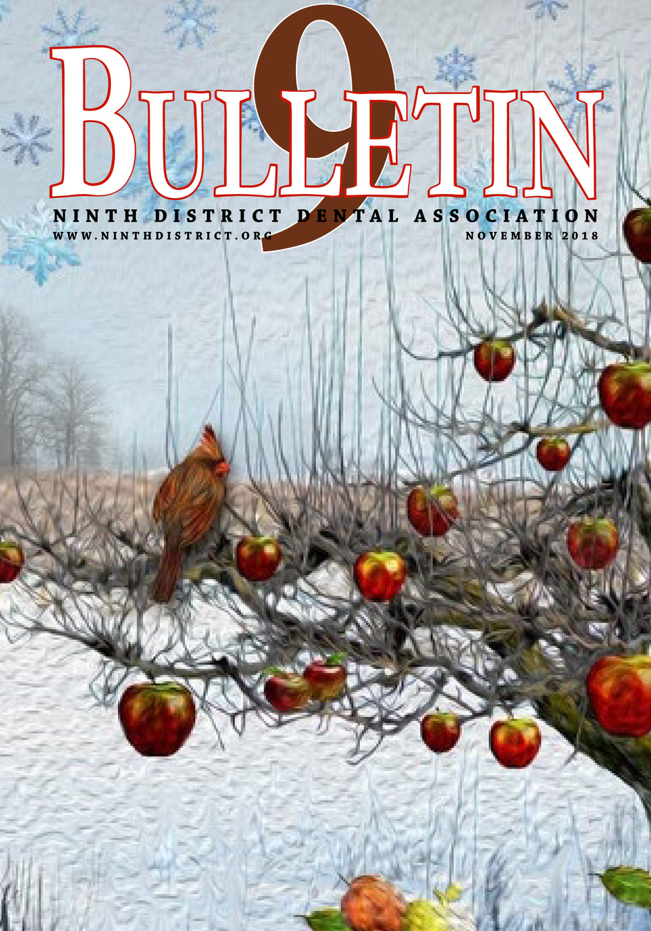 Nov 2018 Bulletin Cover